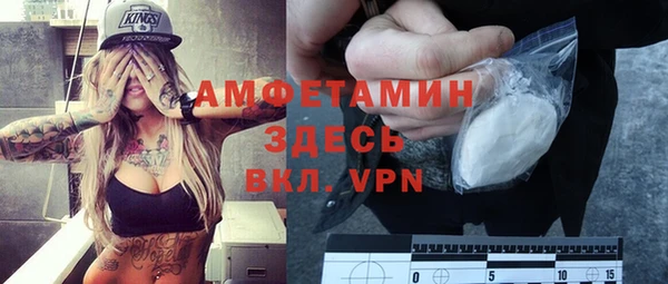спиды Богородицк
