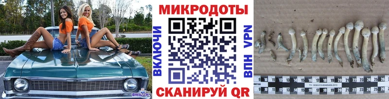 продажа наркотиков  Минеральные Воды  МЕГА ONION  Галлюциногенные грибы прущие грибы 